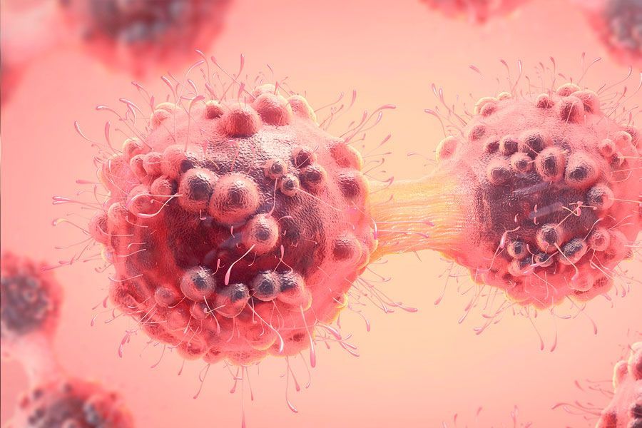 Как выглядит клетка рака под микроскопом фото