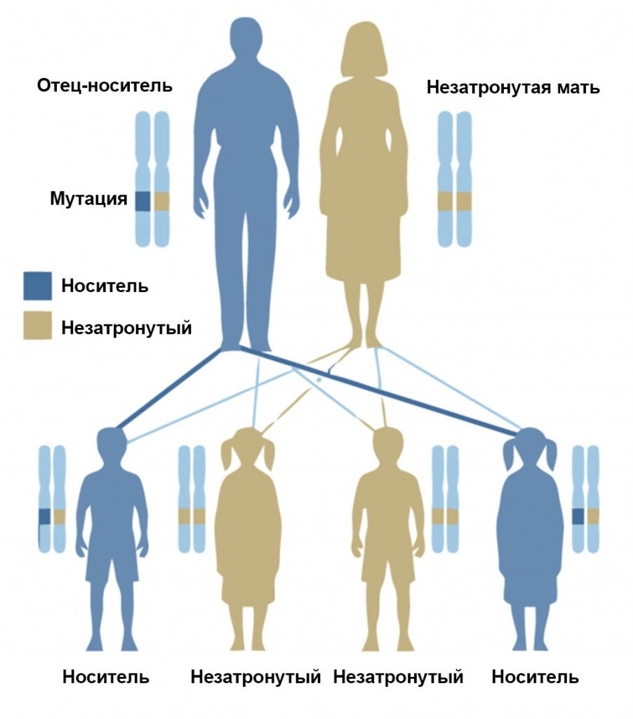 Для того, чтобы развился синдром Линча, достаточно, чтобы один неправильный ген был только у мамы или папы.